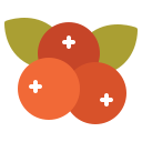 fruta icon