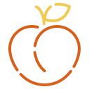 fruta icon