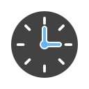 reloj icon