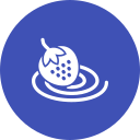 fresa icon