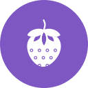 fresa icon