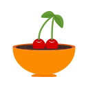 fruta icon