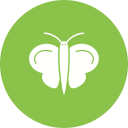 naturaleza icon