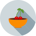 fruta icon