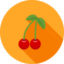 fruta icon