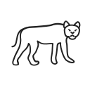 animal icon