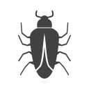 insecte 