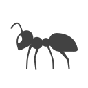 inseto 