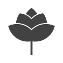 naturaleza icon