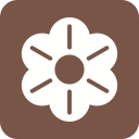 naturaleza icon