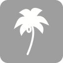 verano icon