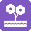 naturaleza icon