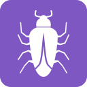 insecte 