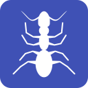 inseto 