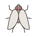 insectos icon