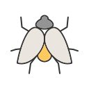 insectos icon