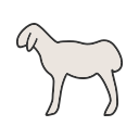 animal icon