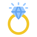 anillo icon