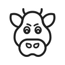 animal 