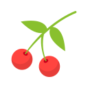 fruta icon