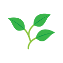fleur icon