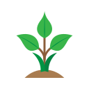 nature icon