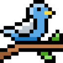 pájaro icon