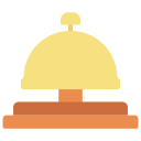 anillo icon