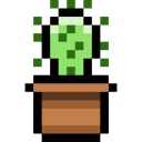 cactus icon