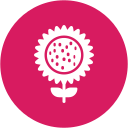 girasol icon