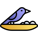 nido de pájaro icon