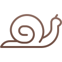 caracol icon