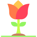 tulipán icon