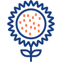 girasol icon