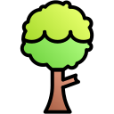 Árbol icon