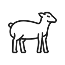 animal icon