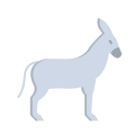 animal icon