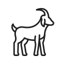 animal icon