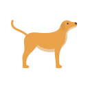 perro icon