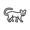 animal icon