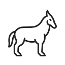 animal icon