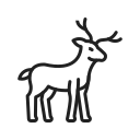 animal icon