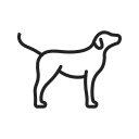 perro icon