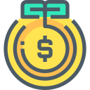 Money icon