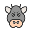 animal 