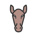 animal icon