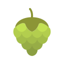 fruta icon