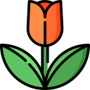 tulipán icon