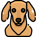 perro icon