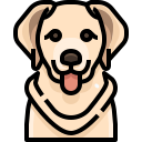 perro icon